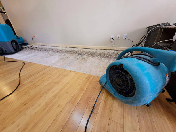 Professional Flood Damage Cleanup technician working in Independence, OR